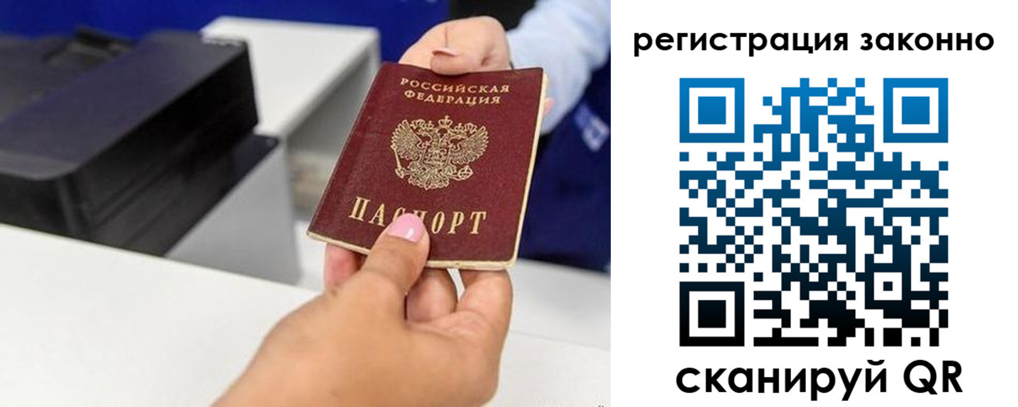 прописка для школы в Сольцах